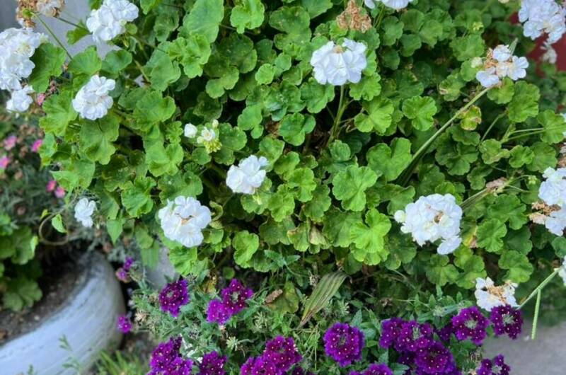 Частный сектор