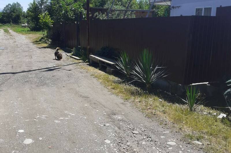 Гостевой дом «У Валеры и Мальвины»