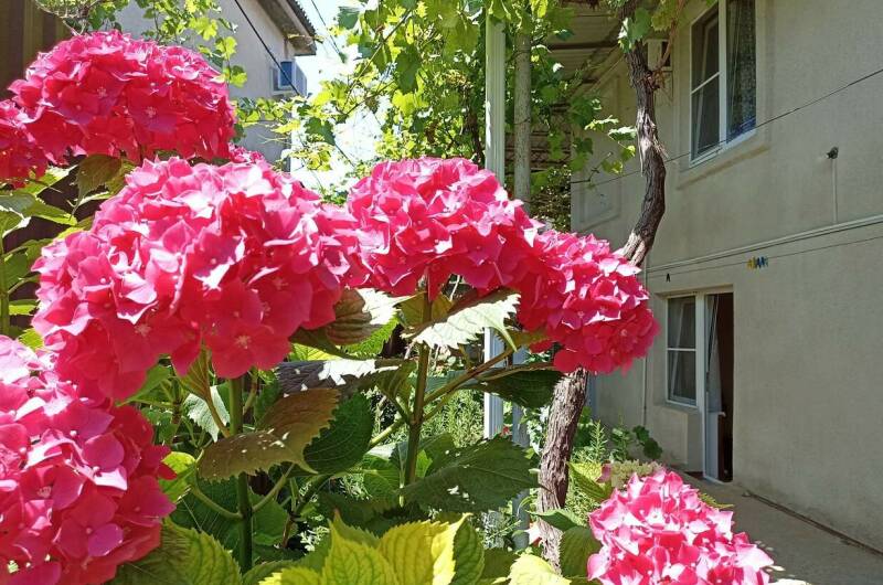 Гостевой дом «У Риммы»