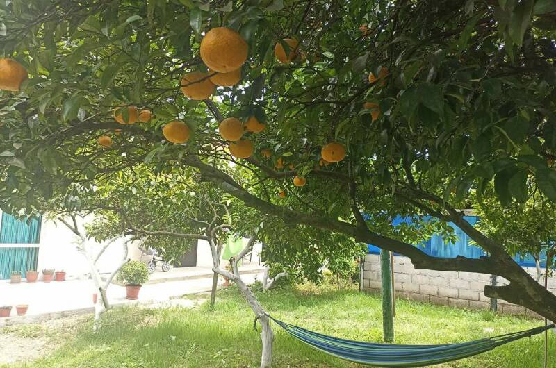 Гостевой дом «У Артура и Сусанны»