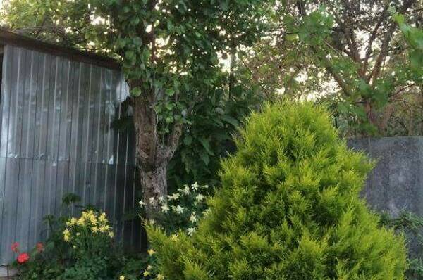 Гостевой дом «Тёплый очаг»