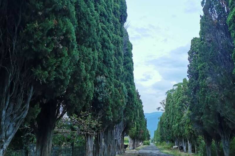 Гостевой дом «Капри»