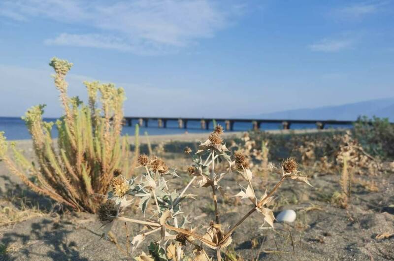 Гостевой дом «Капри»