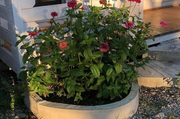 Гостевой дом «Капри»