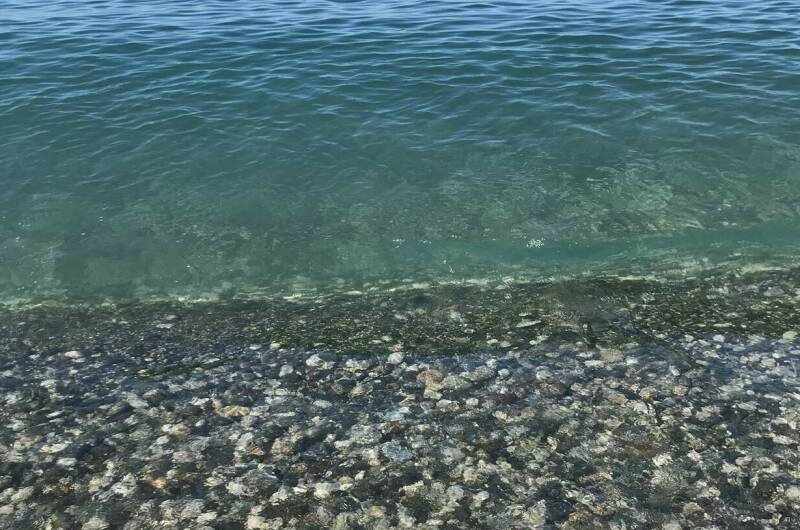 Гостевой дом «Капри»