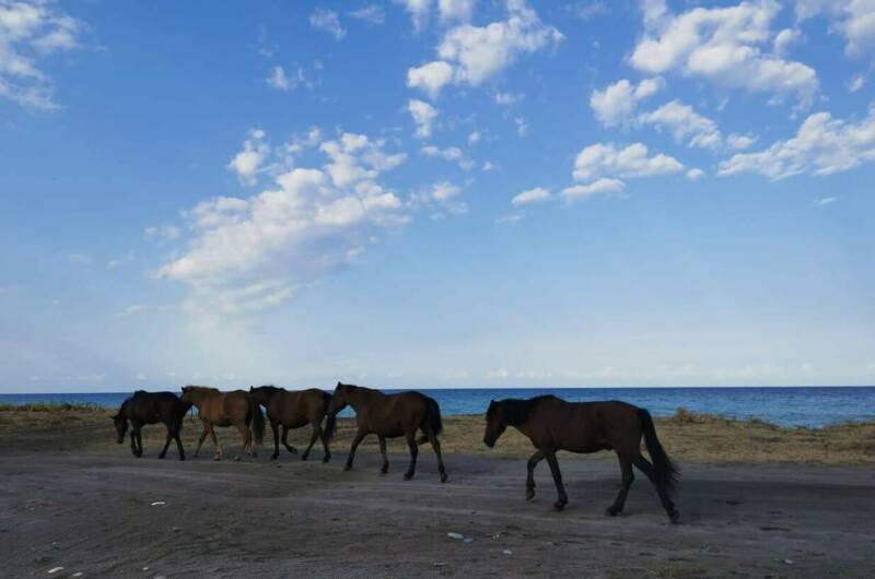 Гостевой дом «Капри»