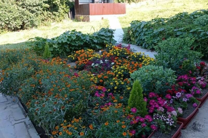 База отдыха «Эдем»