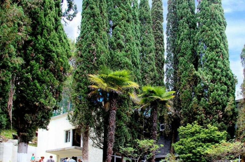 Летний Пансионат «Солнечный»