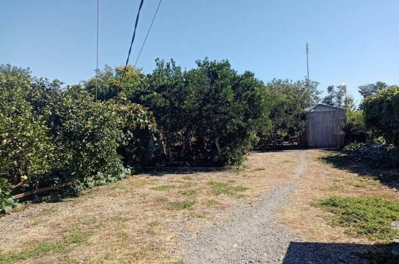 Гостевой дом «В гостях У Шушаны»