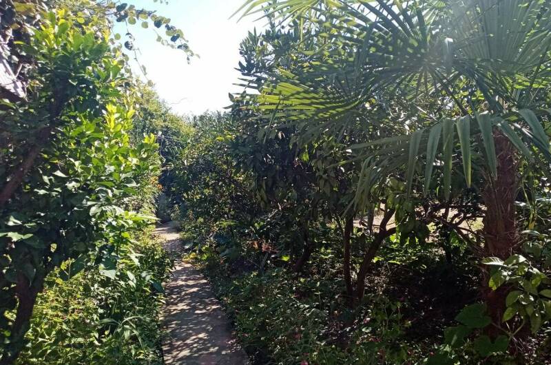 Гостевой дом «В гостях У Шушаны»