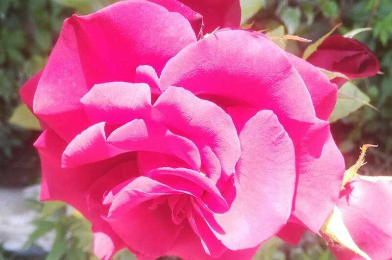 Жилой дом на Шаумяна