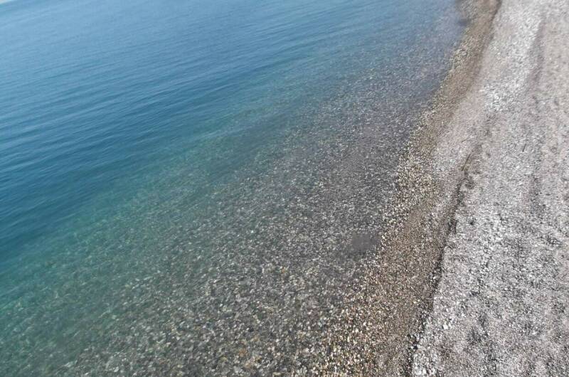 Квартира в Цитрусовом