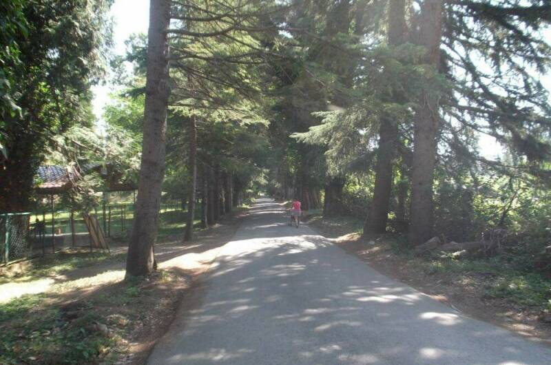 Квартира в Цитрусовом