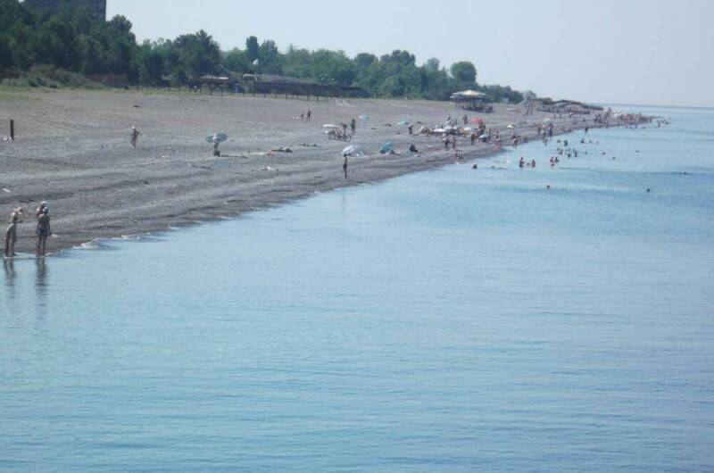 Квартира в Цитрусовом