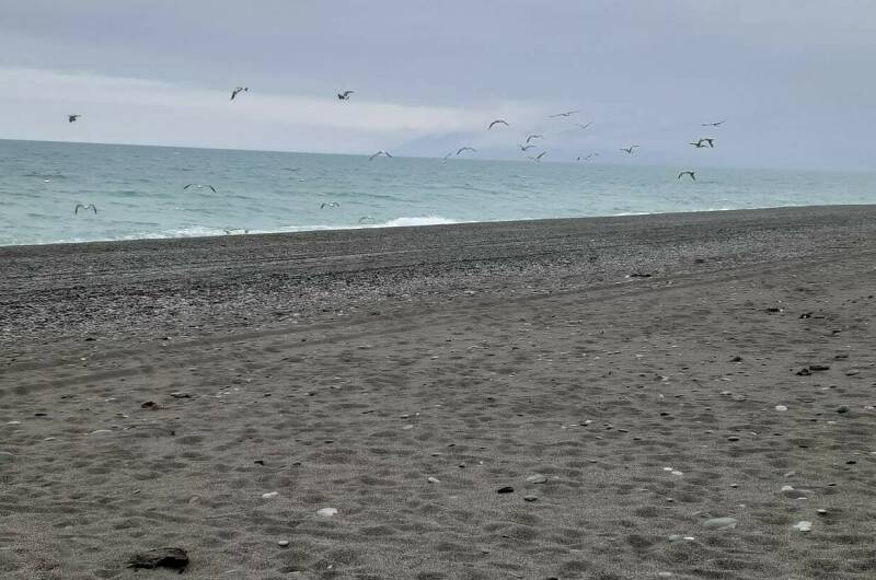 Гостевой дом «У Моря»