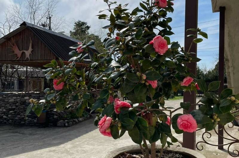 Гостевой дом «Эйва»