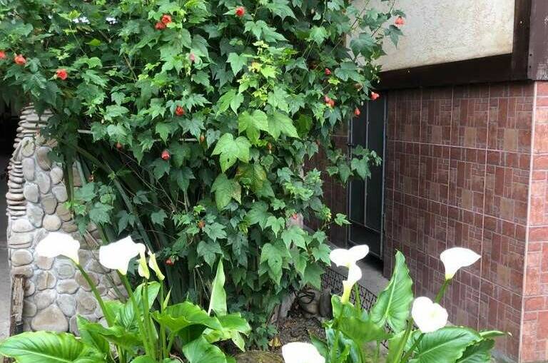 Гостевой дом «Усадьба»