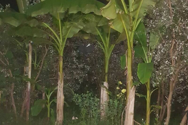 Гостевой дом «У Гарика»