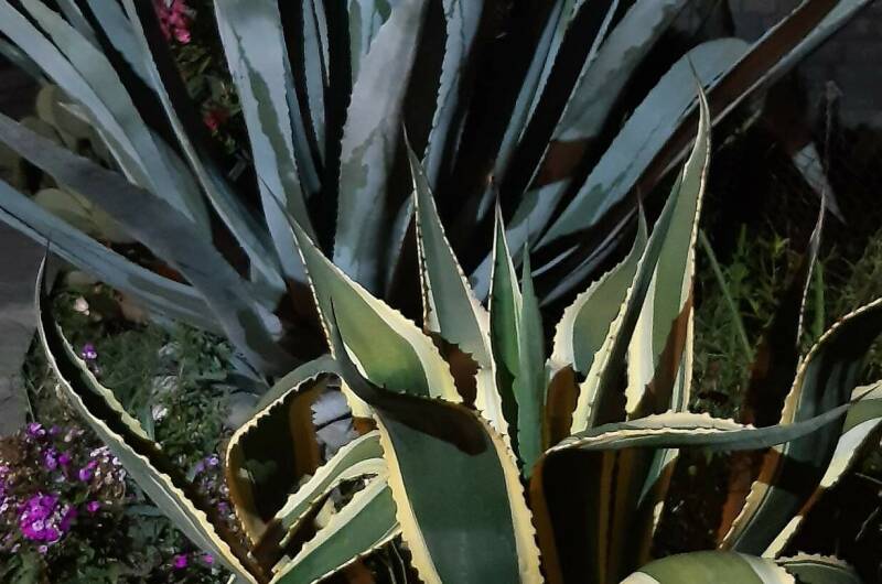 Гостевой дом «У Аведиса и Марины»