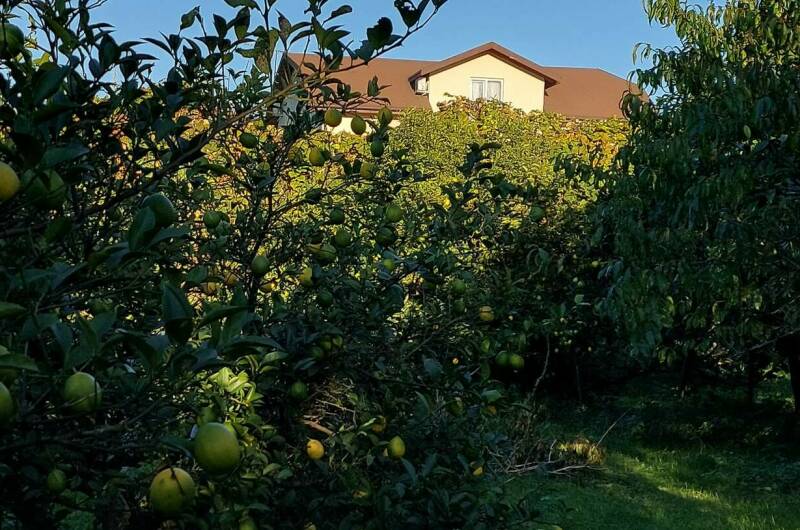 Гостевой дом «Лето»