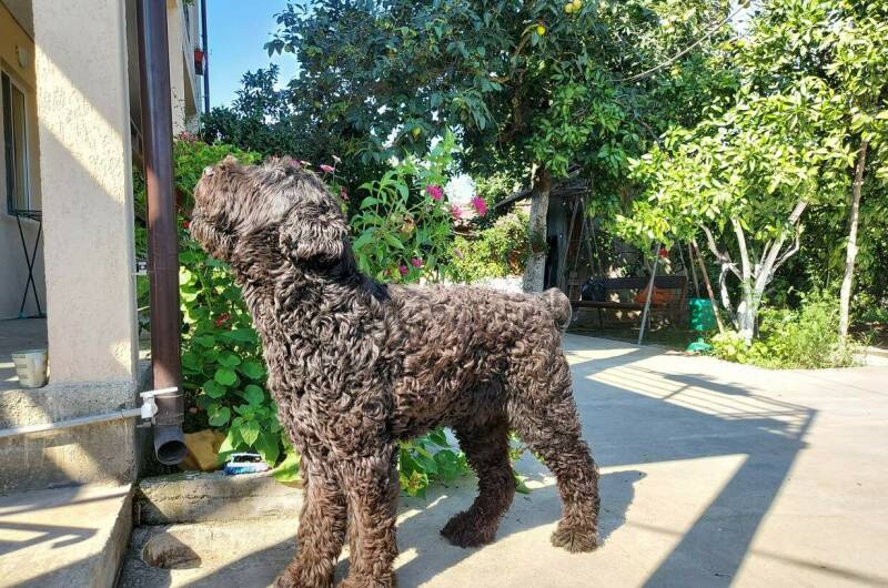 Гостевой дом «Лето»