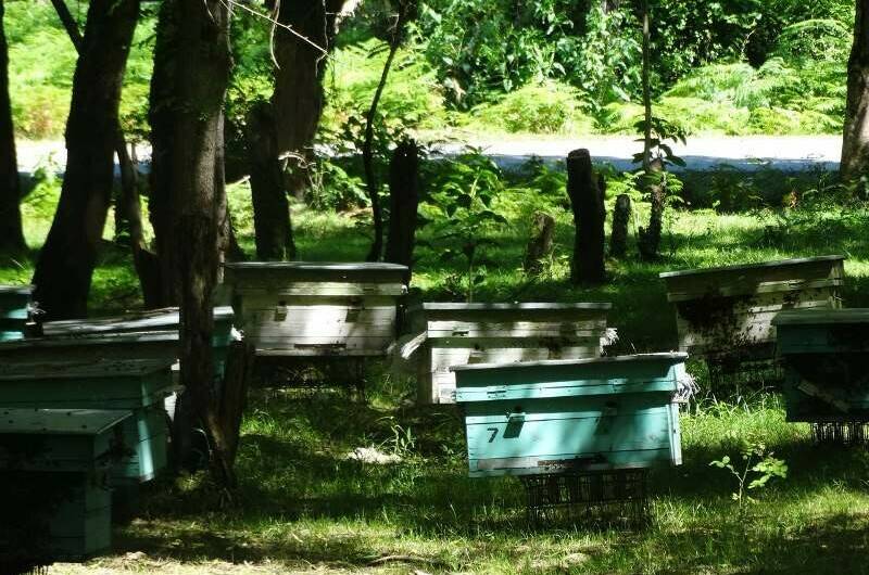 Гостевой дом «У Азы»