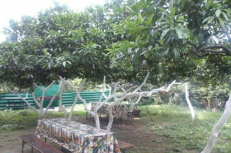 Гостевой дом «У Азы»