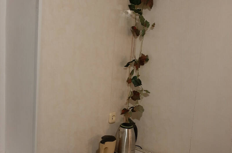 Однокомнатная квартира на берегу моря