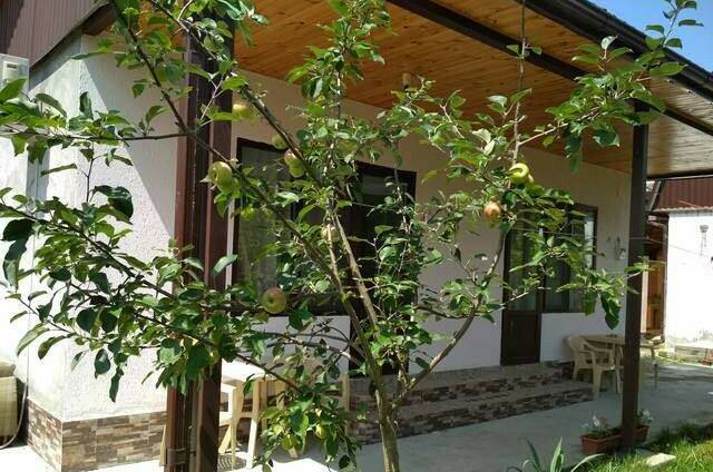 Гостевой дом «У Анжелики»