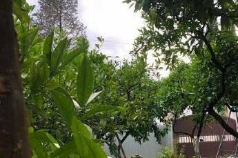 Гостевой дом «Бариния»