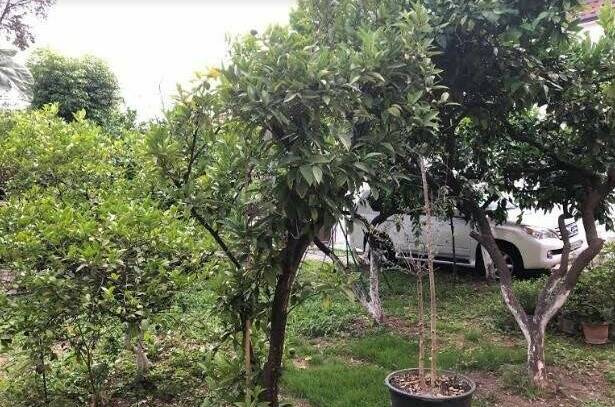 Гостевой дом «Бариния»