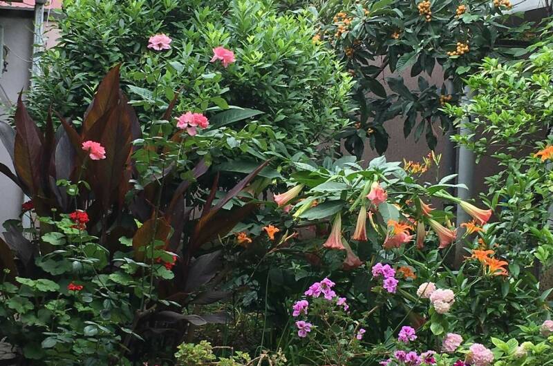 Гостевой дом «Бриз»