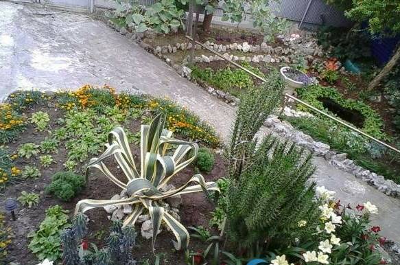 Частный дом у моря