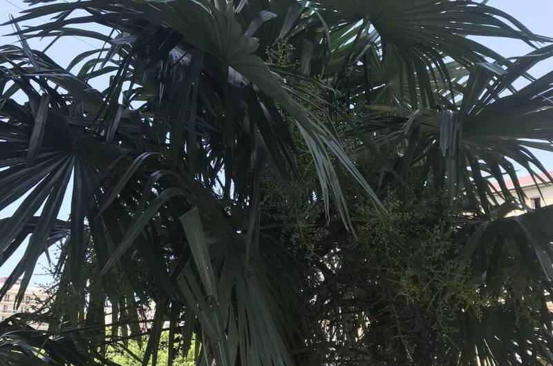 Двухкомнатная квартира