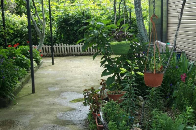 Гостевой дом «В гостях у Сюзанны»