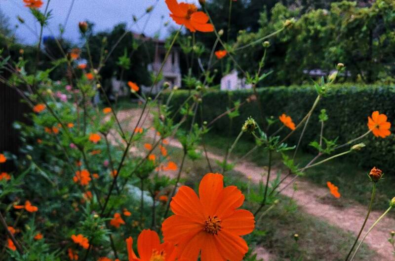 Дом под ключ «Золотой Берег»