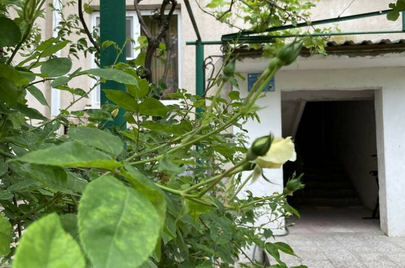 Двухкомнатная квартира