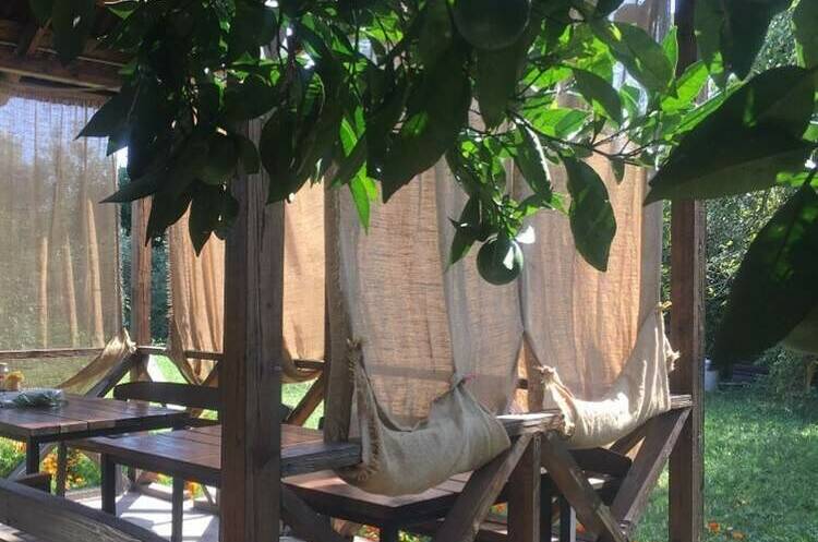 Гостевой дом «Мандариновый рай»