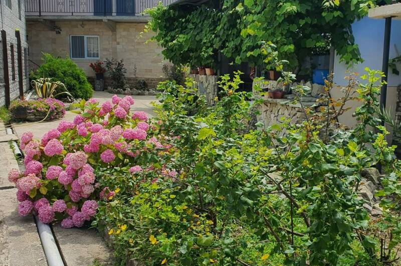 Частный сектор «Эльвира»