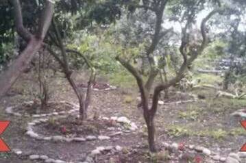 Гостевой дом «Роберт и Оксана»