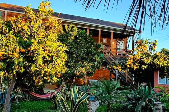 Гостевой дом «Старик Хасаныч»