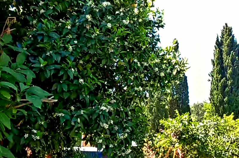 Гостевой дом «Старик Хасаныч»