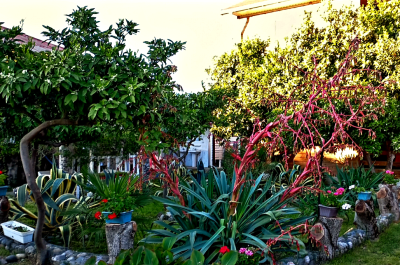 Гостевой дом «Старик Хасаныч»