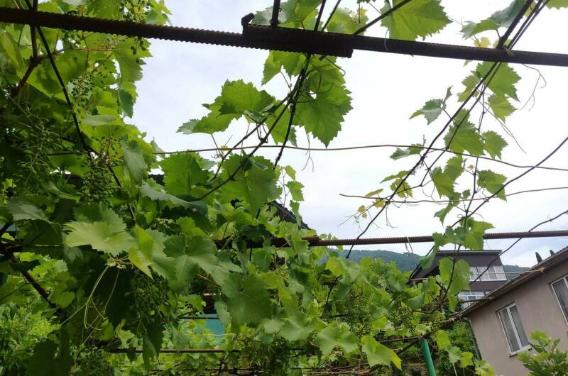 Частный дом «У Анаиды»