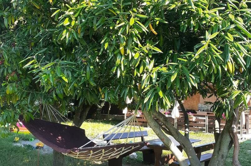 Гостевой дом у моря