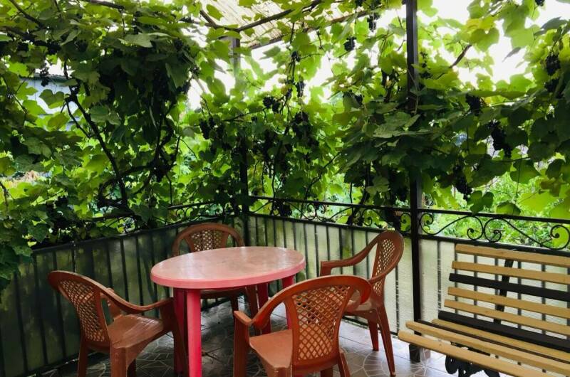 Гостевой дом «Лоза»