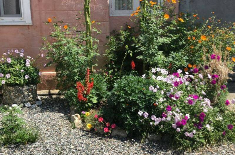 Частный сектор на Шаумяна