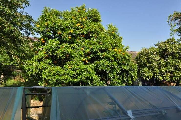 Частный сектор на Шаумяна