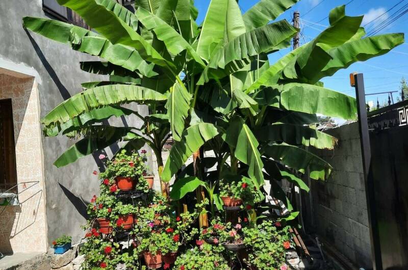 Гостевой дом «Светлана»