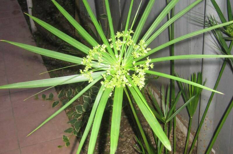 Гостевой дом «Тихий уголок»